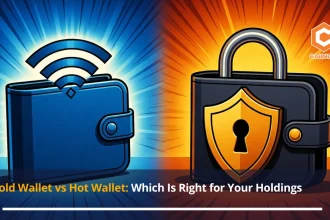 Cold Wallet vs Hot Wallet