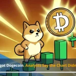 retail forgot dogecoin 2020 setup